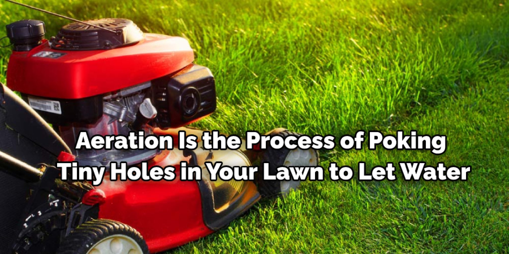 how-to-make-your-lawn-smooth-apply-this-10-methods-2024