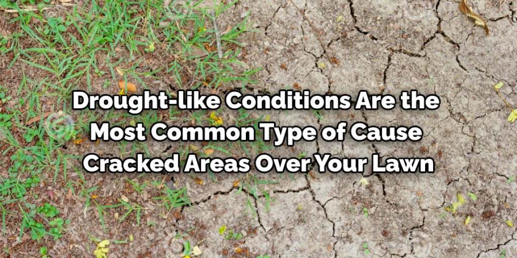 Things That Causes Cracks on Lawn