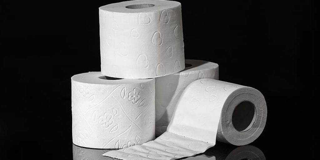 Does Bleach Dissolve Toilet Paper