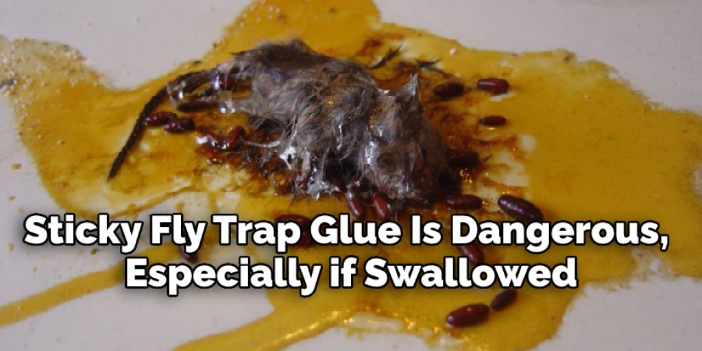 Dangers of Fly Trap Glue