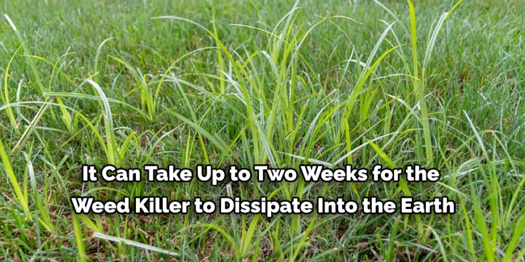 How to Get Rid of Nutsedge with Cornmeal and Epsom salt