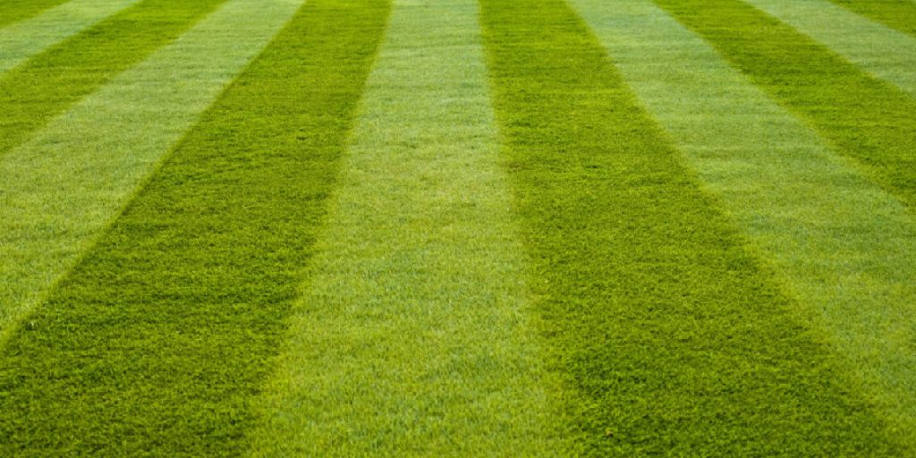 How to Smooth Out Your Lawn