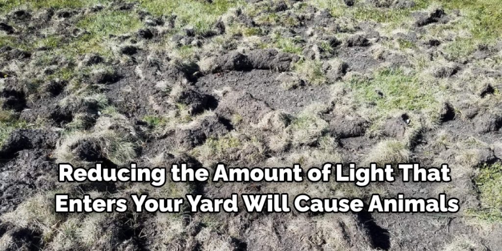 Methods to how to stop animals from digging up your lawn