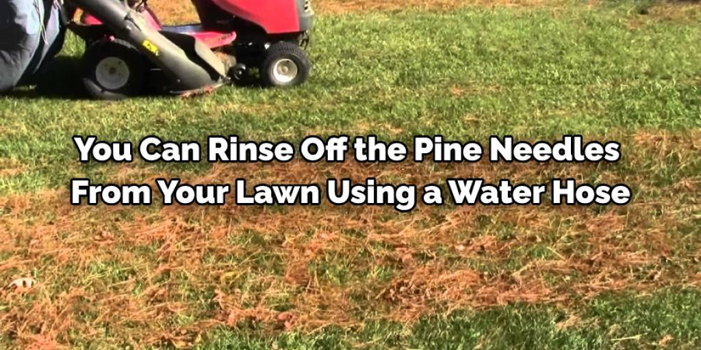 Using Water Hose foe Lawn