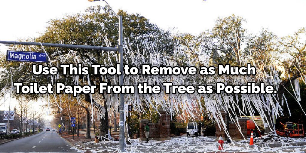Use a Hose to Remove Toilet Paper From Trees