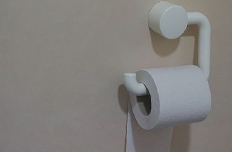 How to Remove Toilet Paper Holder