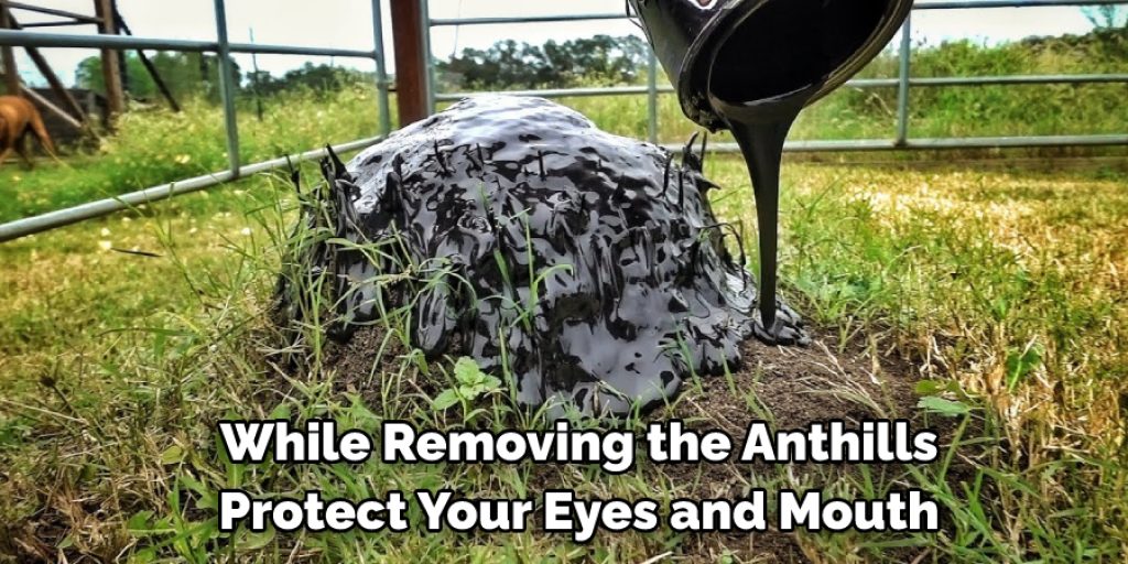 Precautions While Removing Ant Hills 