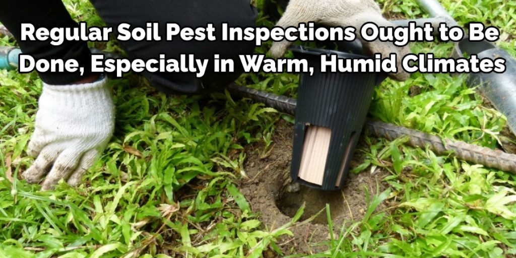 Regular Soil pesting inspections is a good solution