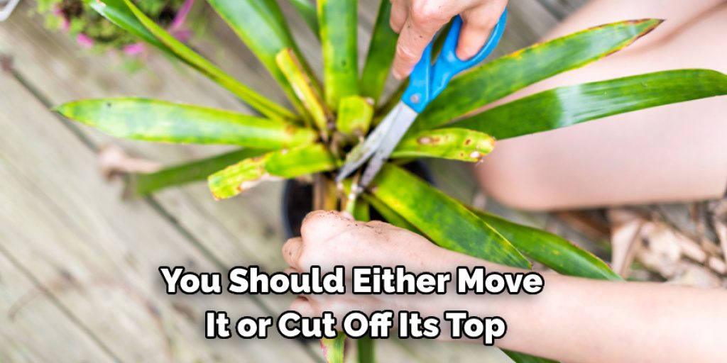 you should either move it or cut off its top
