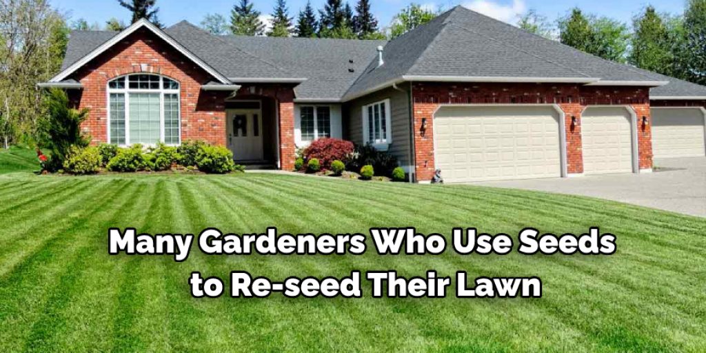 Some Tips to Prevent Birds Landing on Newly Seeded Lawn