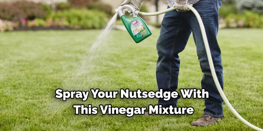 Step on How to Get Rid of Nutsedge Naturally Without Using Chemicals