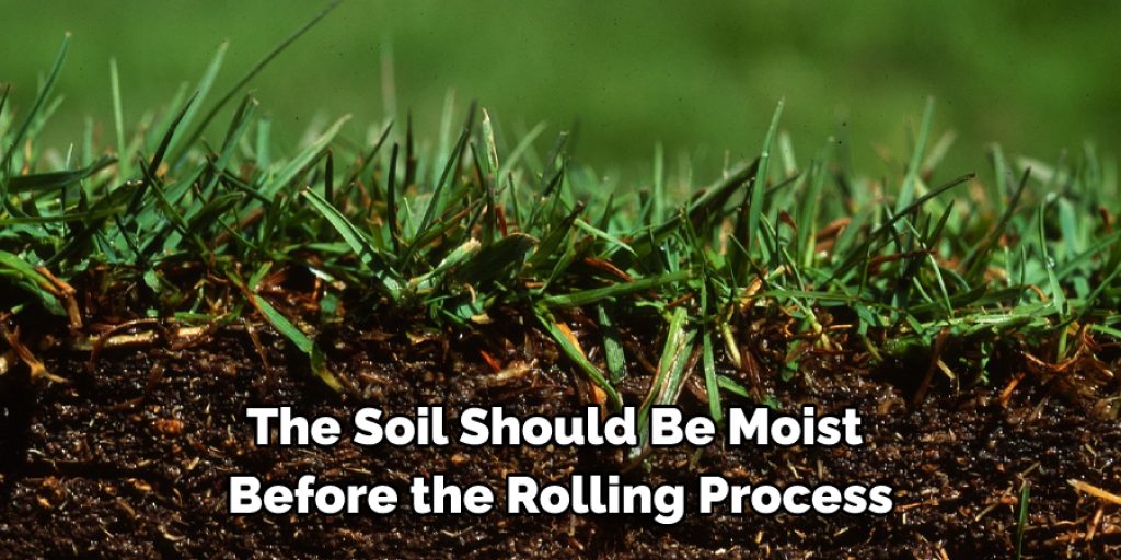 the soil should be moist before the rolling process.
