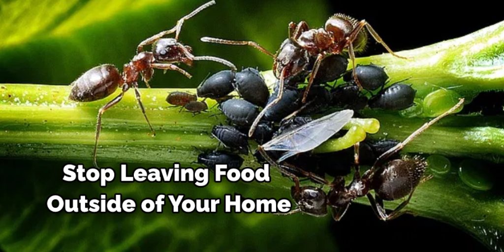 Stop leaving food outside of your home,