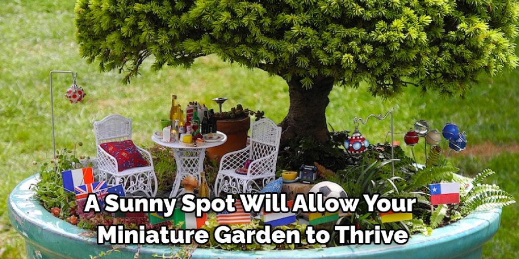 A sunny spot will allow your miniature garden to thrive.