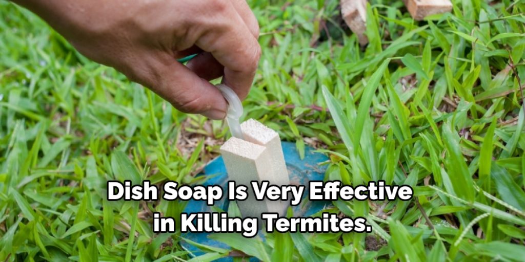 Try Dish Soap to Get Rid of Termites in the Lawn