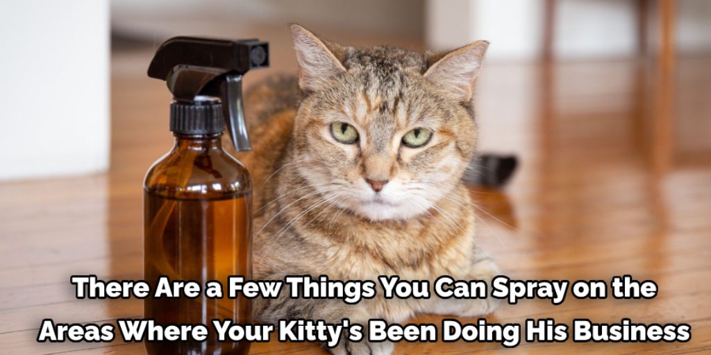 Try cat repellent sprays