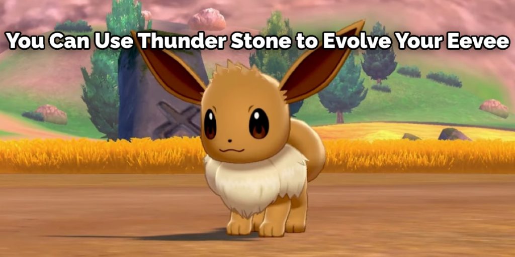 Using Thunder Stone to Evolve Eevee 