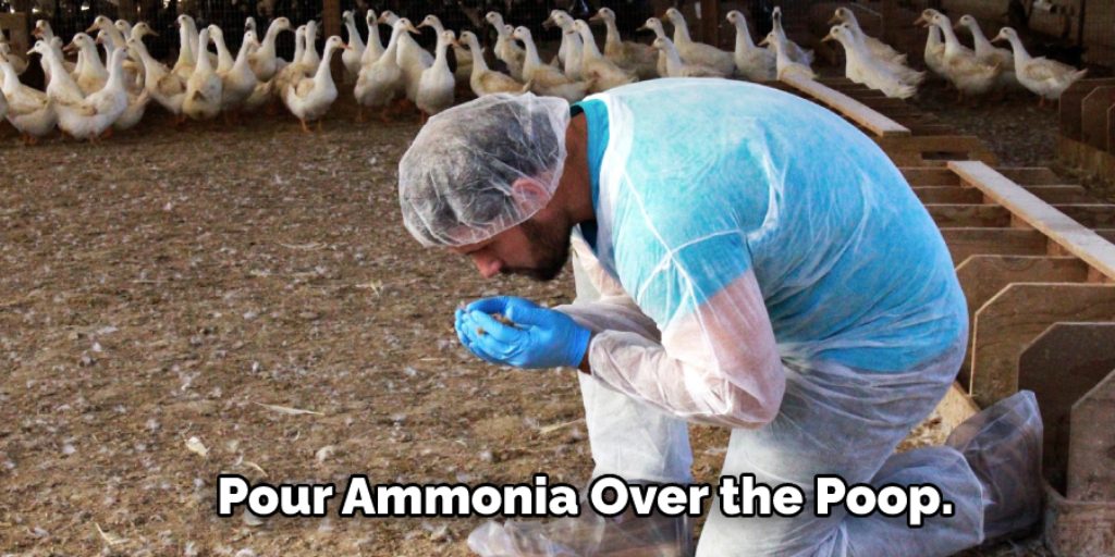 Using Ammonia to Remove Goose Poop