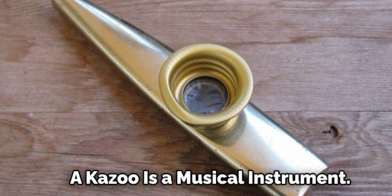 how-to-make-a-kazoo-with-popsicle-sticks-explained-in-12-steps-2023