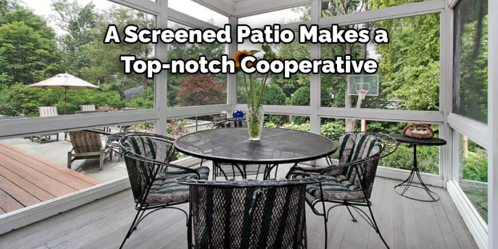 A screened patio makes a top-notch cooperative




