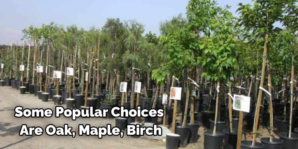 Choose a standard tree