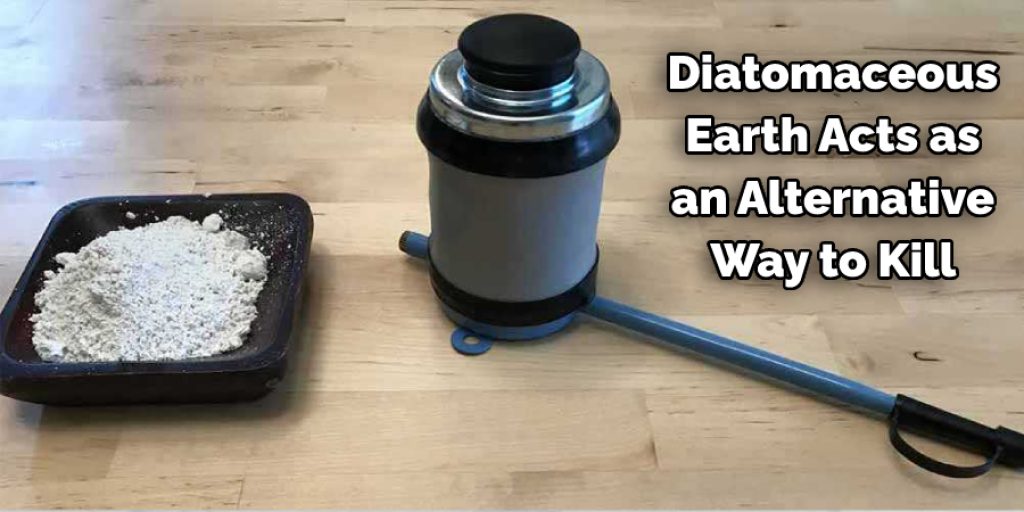 Diatomaceous Earth Acts as 
an Alternative Way to Kill
