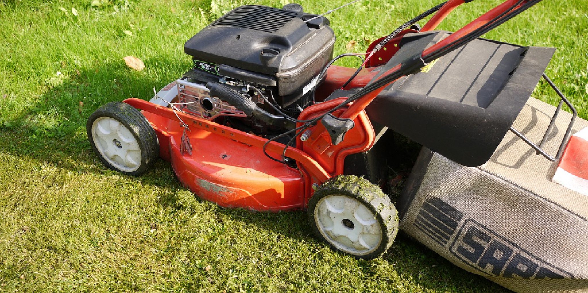 How to Use Lawn Mower Without Bag 3 Quick Steps (2024)