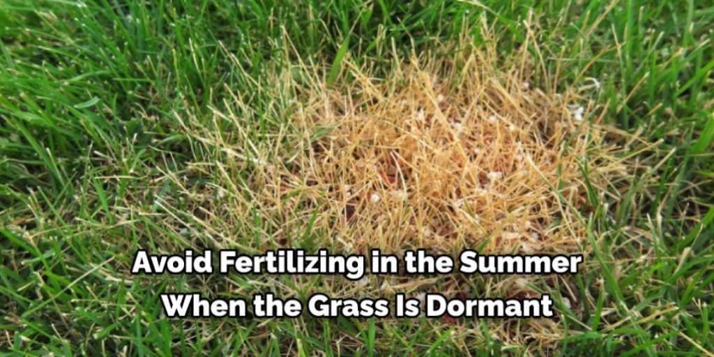 Some Tips to Prevent Over Fertilization in Your lawn