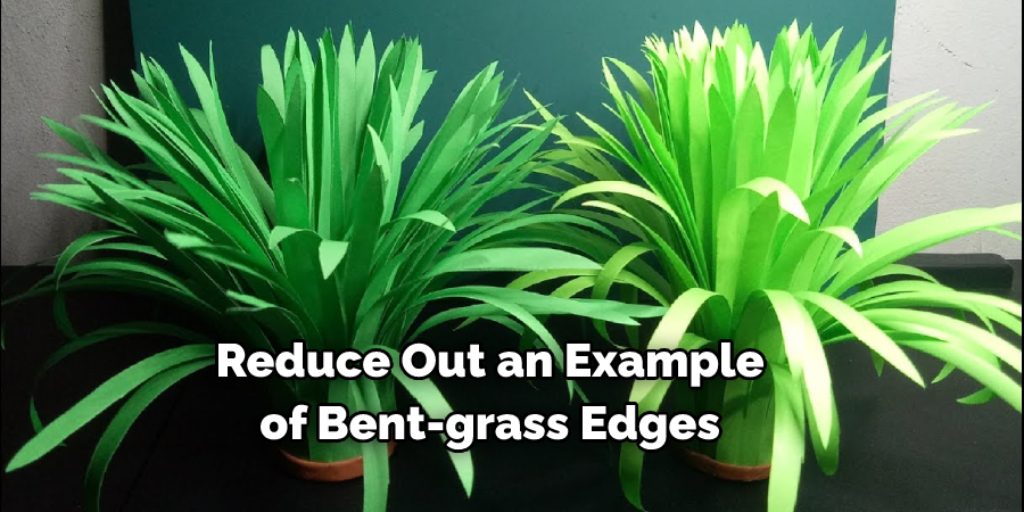Reduce out an example of bent-grass edges. 