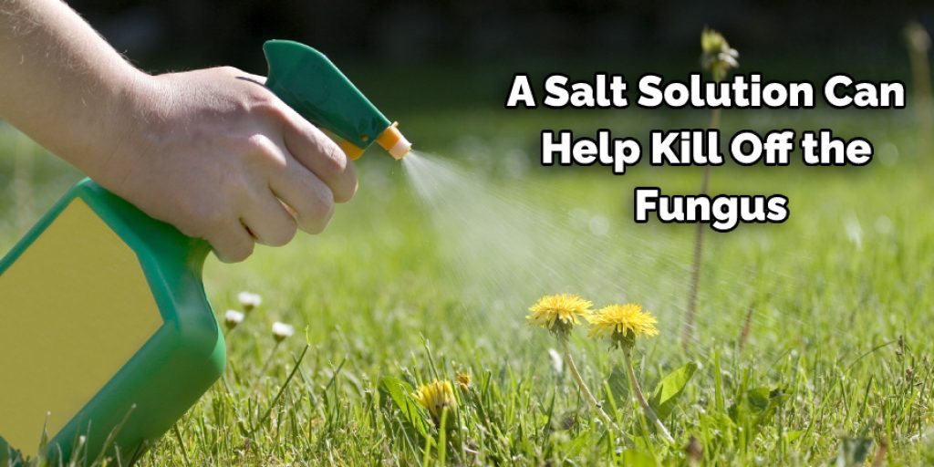 Using Salt Solution