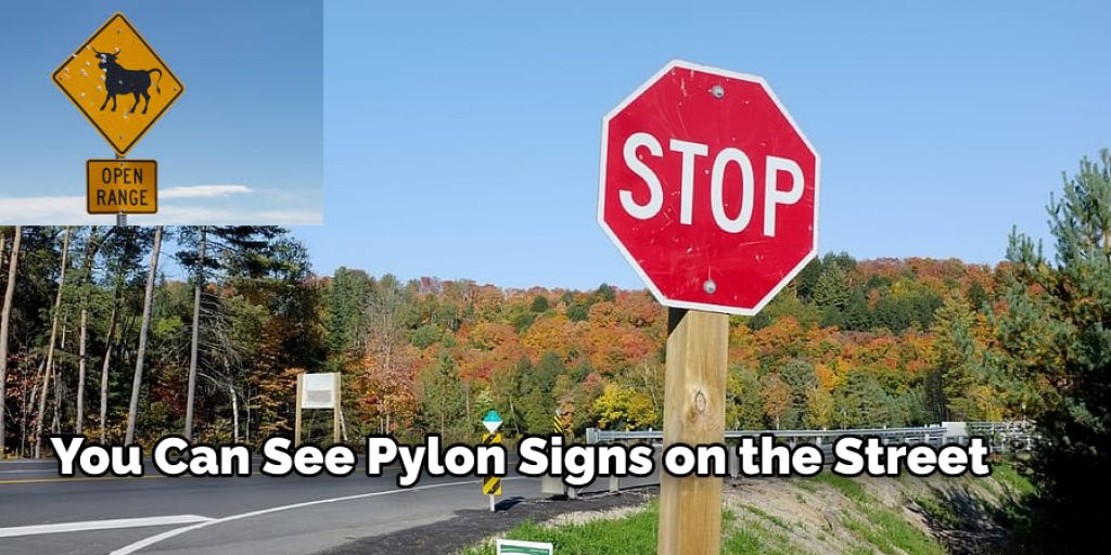 pylon signs on the street