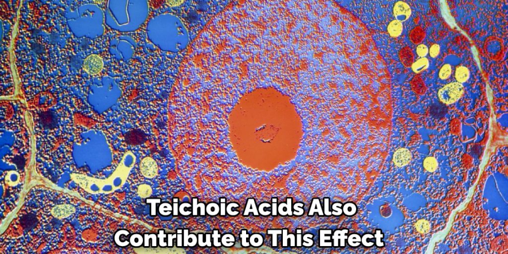 Teichoic acids also contribute to this effect