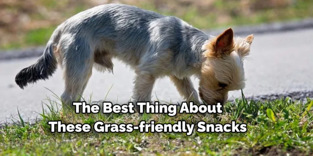The best thing about these grass-friendly snacks 