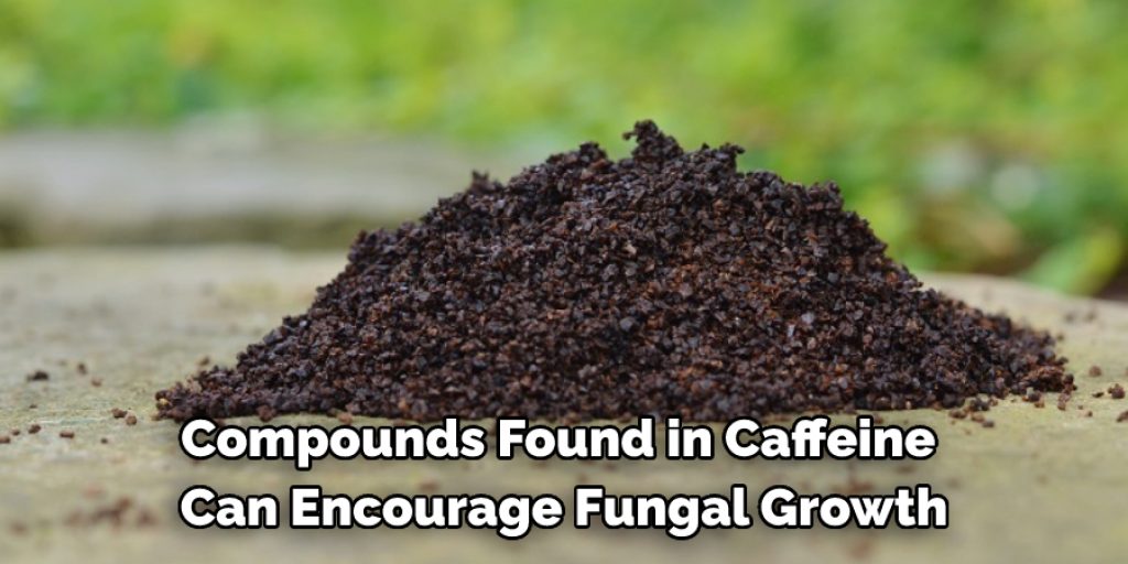 Compounds found in caffeine can encourage fungal growth