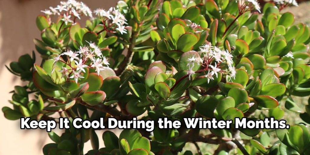 Keep It Cool During the Winter Months