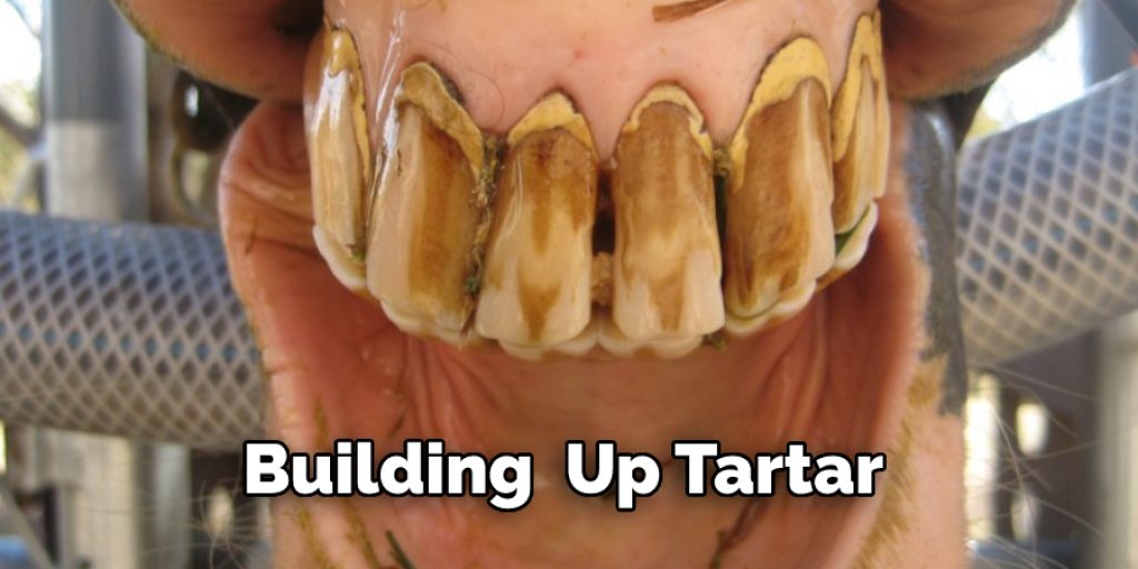 Building  Up Tartar 