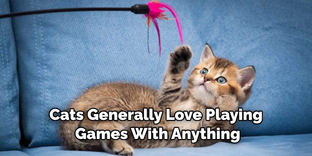 Cats Generally Love Playing Games With Anything