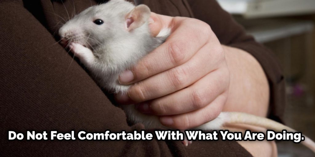 If the rat does not like it, it will move away from you when you stop petting so that it can escape contact. This shows that they do not feel comfortable with what you are doing.