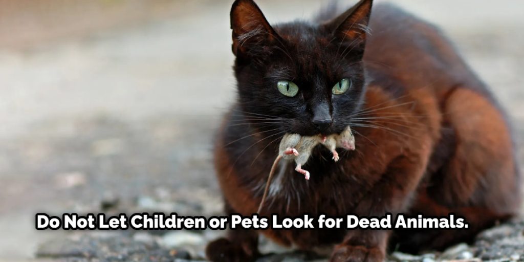 Do not let children or pets look for dead animals.-If you do not know where the animal is, it may be trapped in an area that is difficult to get into or can't be reached.