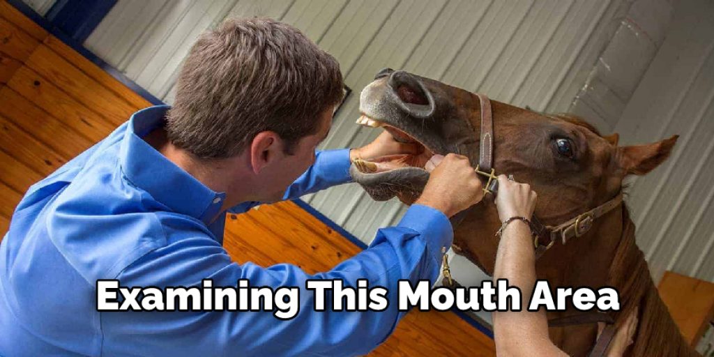 examining this mouth area