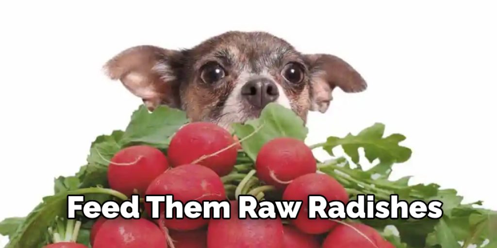 Feed Them Raw Radishes