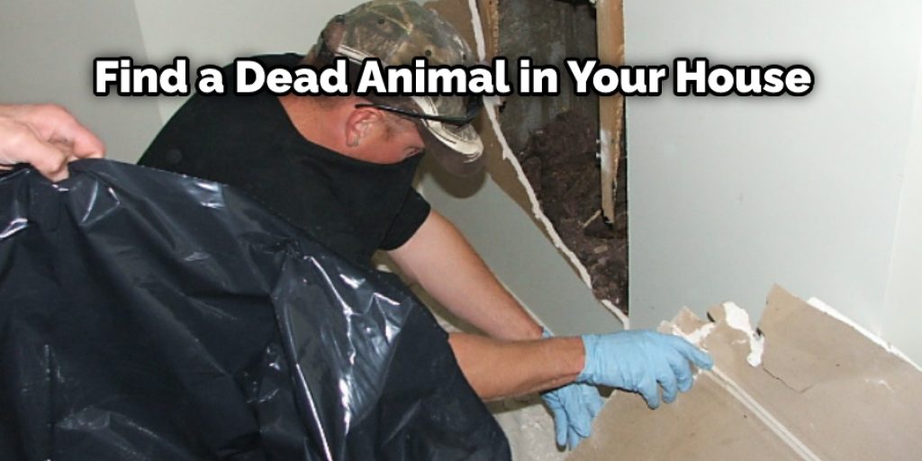 It sounds easy enough, but it can be difficult to find a dead animal in your house. You should first look where you have seen droppings or smelled an odor coming from. 