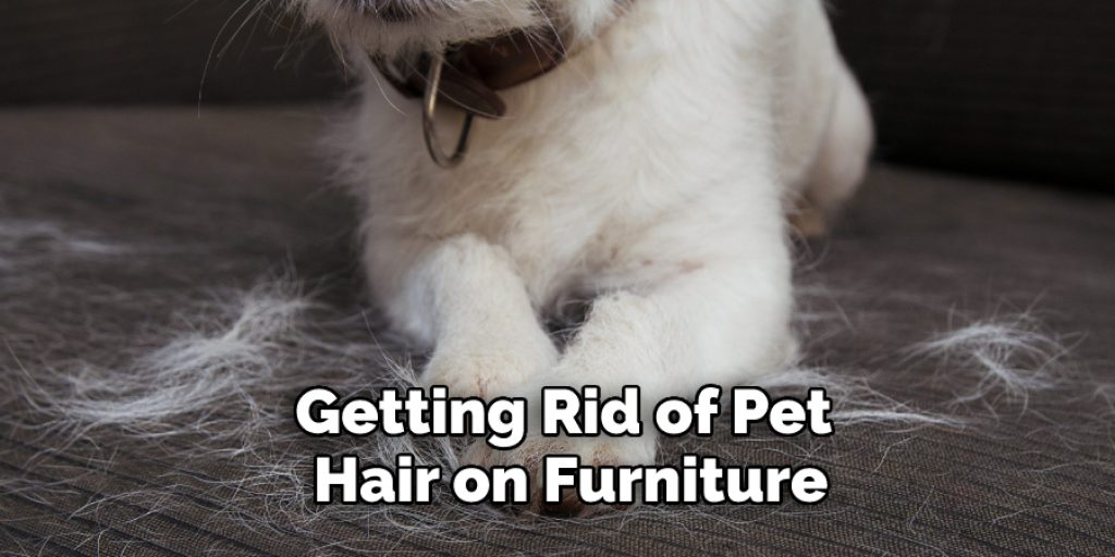 Getting Rid of Pet Hair on Furniture