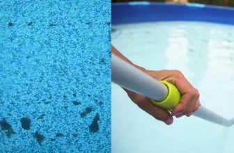 How to Get Rid of Algae Dust in Pool
