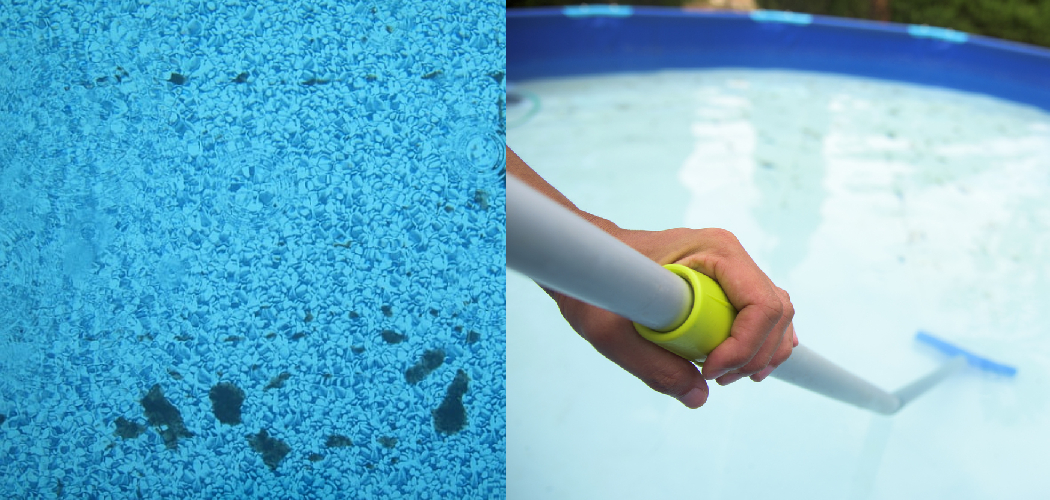 How to Get Rid of Algae Dust in Pool