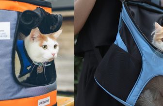 How to Make a Cat Backpack