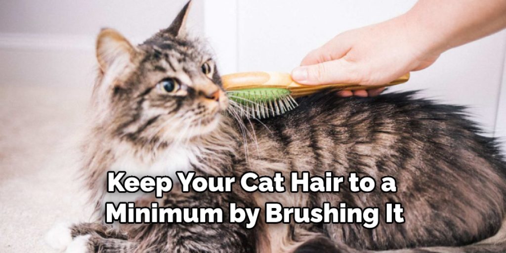 Keep Your Cat Hair to a Minimum by Brushing It