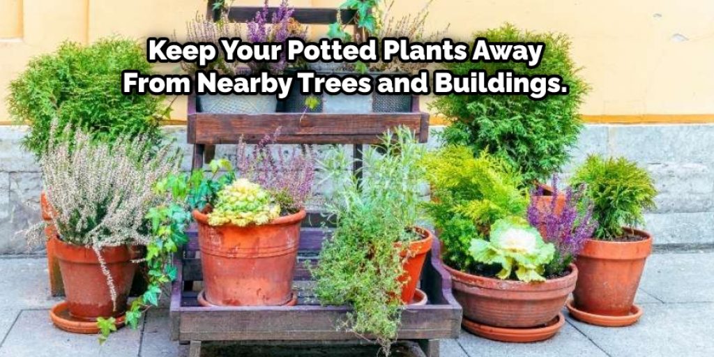 Keep Your Potted Plants Away From Nearby Trees and Buildings.
