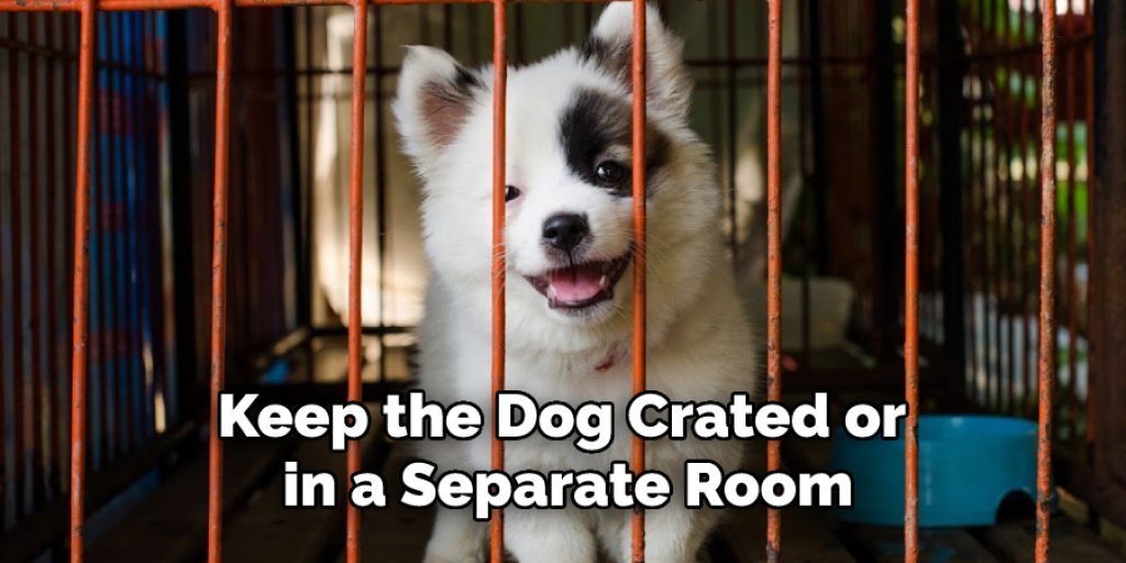 Keep the Dog Crated or in a Separate Room