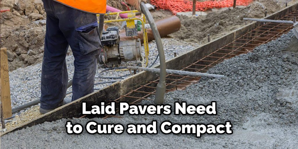 Laid Pavers Need to Cure and Compact.jpg